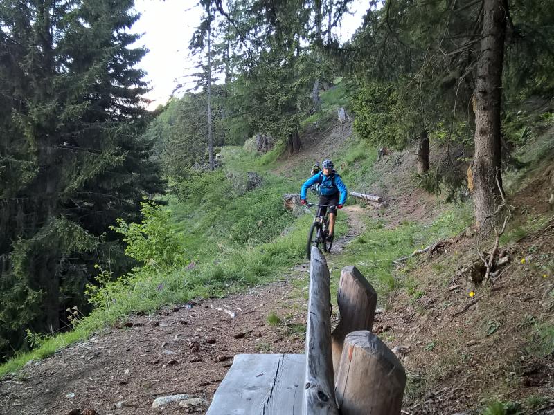 WP_20150528_19_45_49_Pro