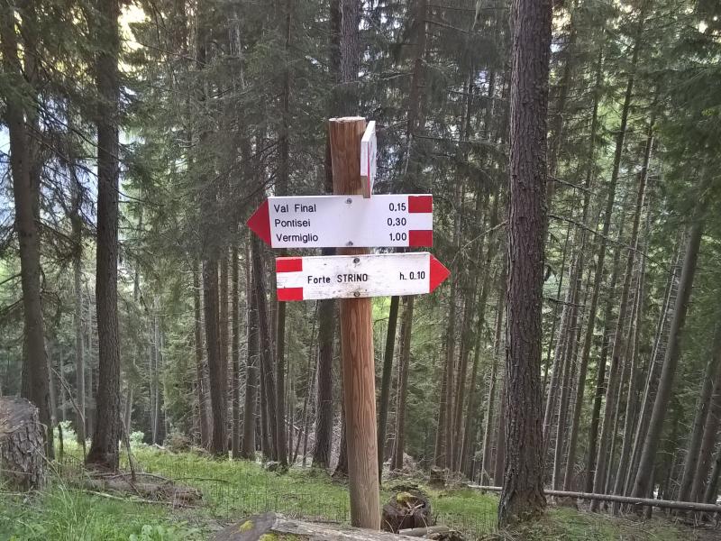 WP_20150528_19_38_51_Pro