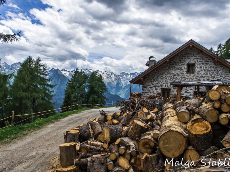 mtbmalgastablimalghe-ortise-menas-090 bis